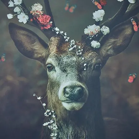 Luxus Mosel-zeit Neu 2023 * Zell