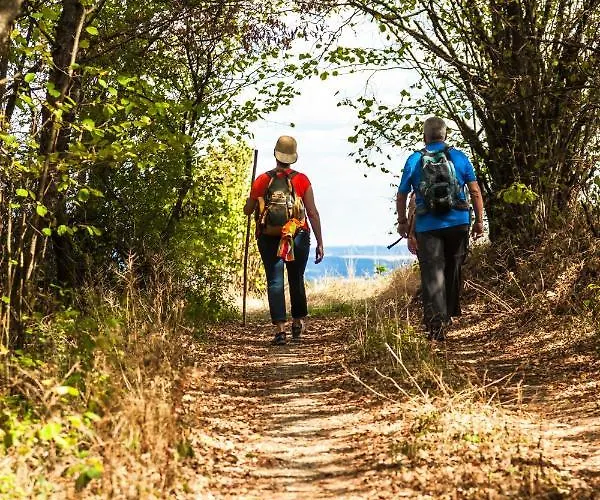 Luxus Mosel-zeit Neu 2023 *