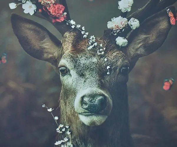 Luxus Mosel-zeit Neu 2023 * Zell